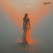 St1Nk
